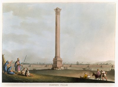 Colonna di Pompeo, tavola 14 da 